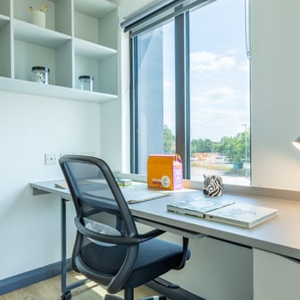 Bronze Plus Studio - Image 2